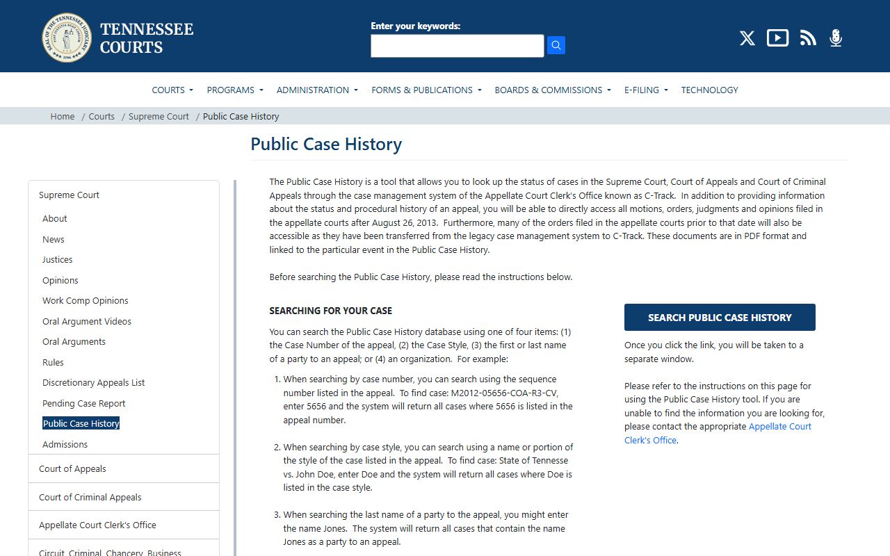 Tennessee appellate criminal records public case history